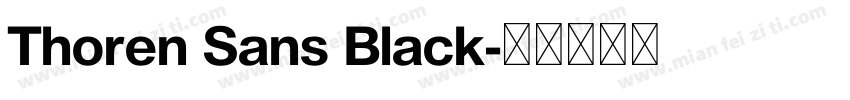 Thoren Sans Black字体转换